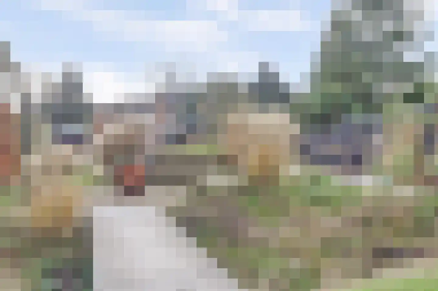 Nieuwstraat 29 Bergeijk thumbnail 59