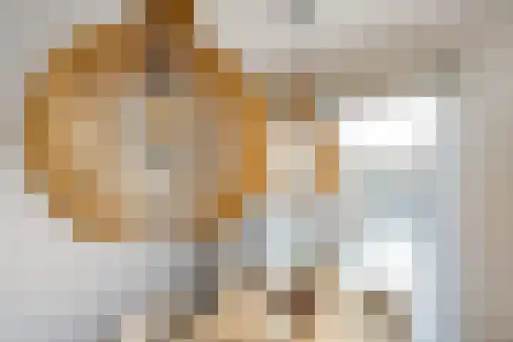 Nieuwstraat 29 Eibergen thumbnail 22