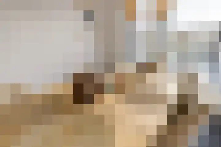 Nieuwstraat 29 Eibergen thumbnail 23