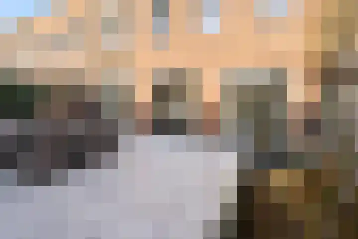 Nieuwstraat 29 Eibergen thumbnail 62