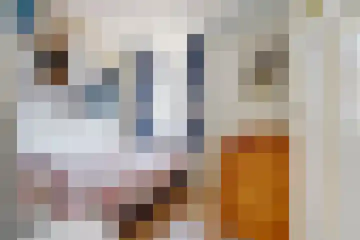 Nieuwstraat 29 Gilze thumbnail 34