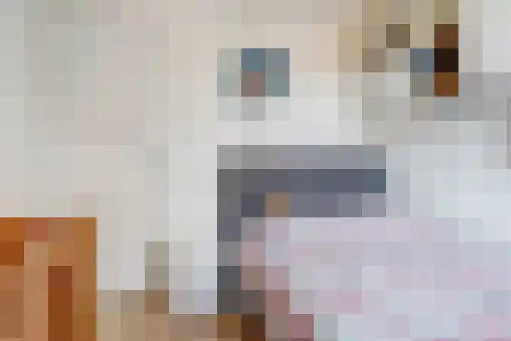 Nieuwstraat 29 Gilze thumbnail 35