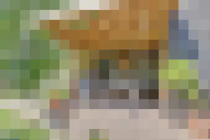 Nieuwstraat 29 Gilze thumbnail 41