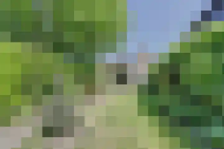 Nieuwstraat 29 Gilze thumbnail 43