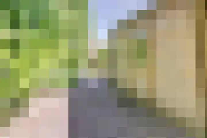 Nieuwstraat 29 Gilze thumbnail 45