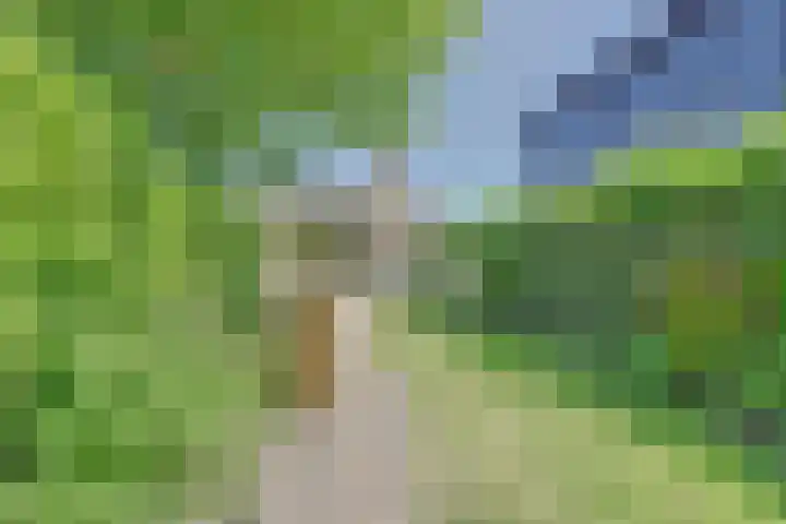 Nieuwstraat 29 Gilze thumbnail 46