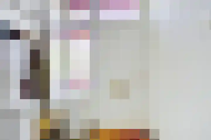 Nieuwstraat 29 Gilze thumbnail 7