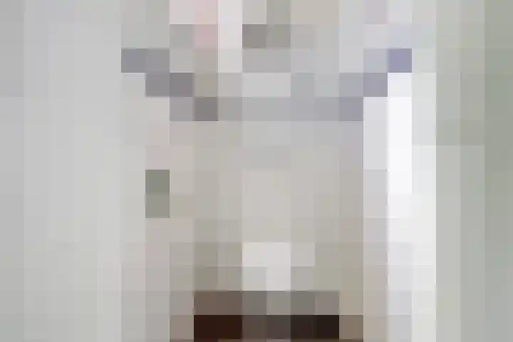 Nieuwstraat 29 Gilze thumbnail 9