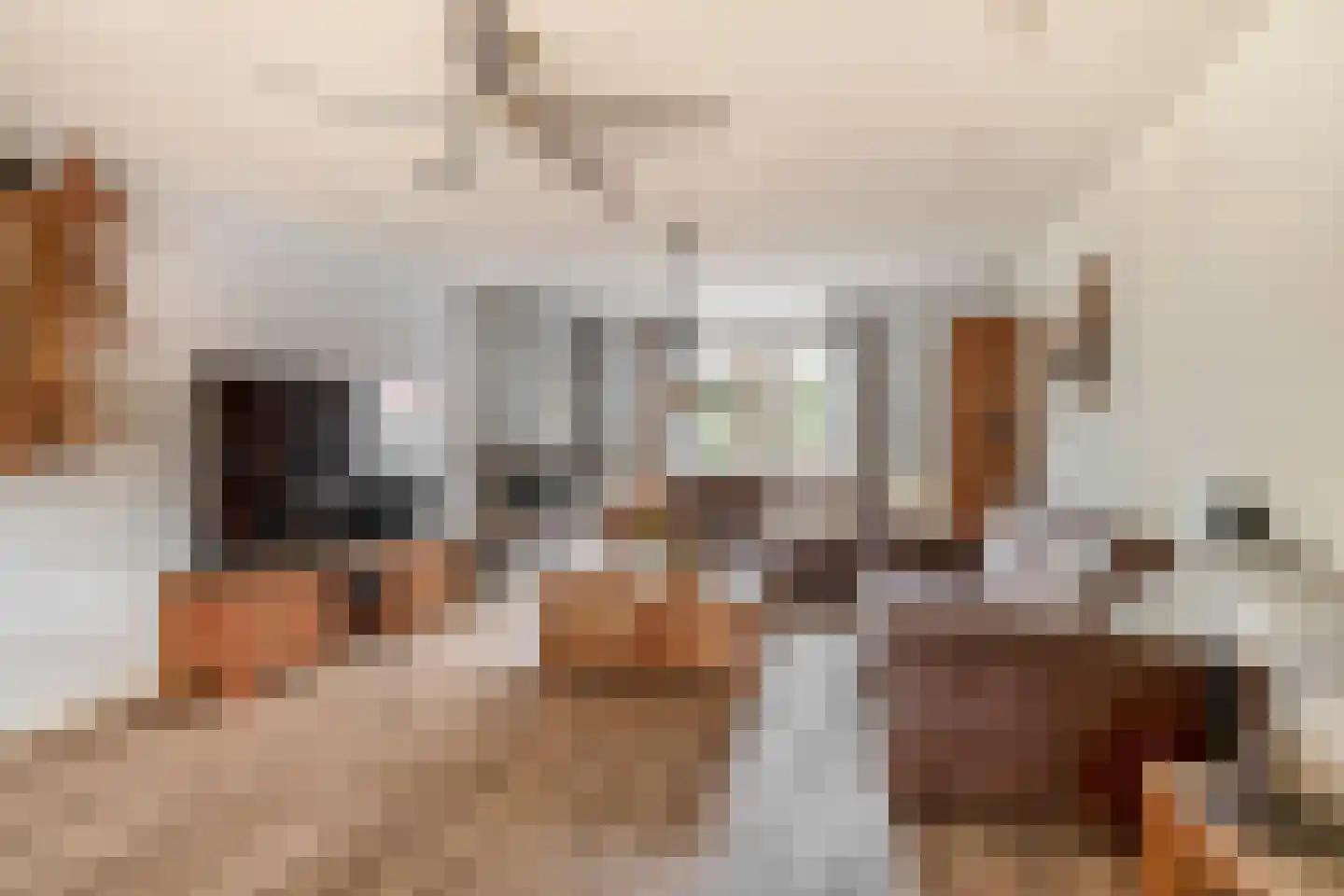 Nieuwstraat 29 Lieshout thumbnail 11