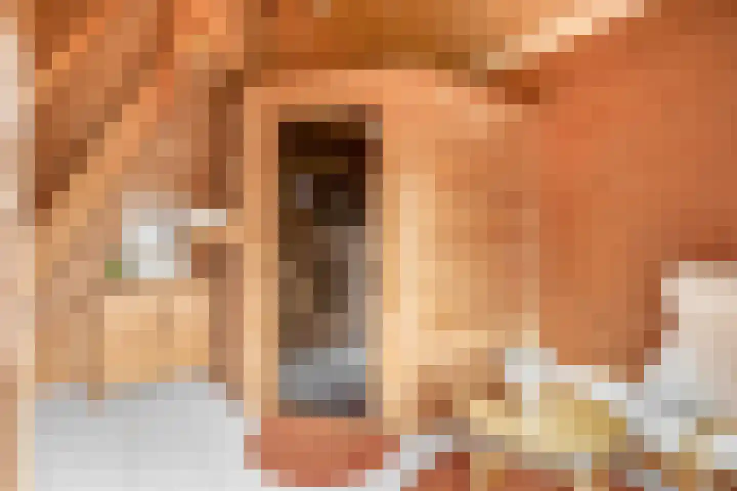 Nieuwstraat 29 Lieshout thumbnail 40