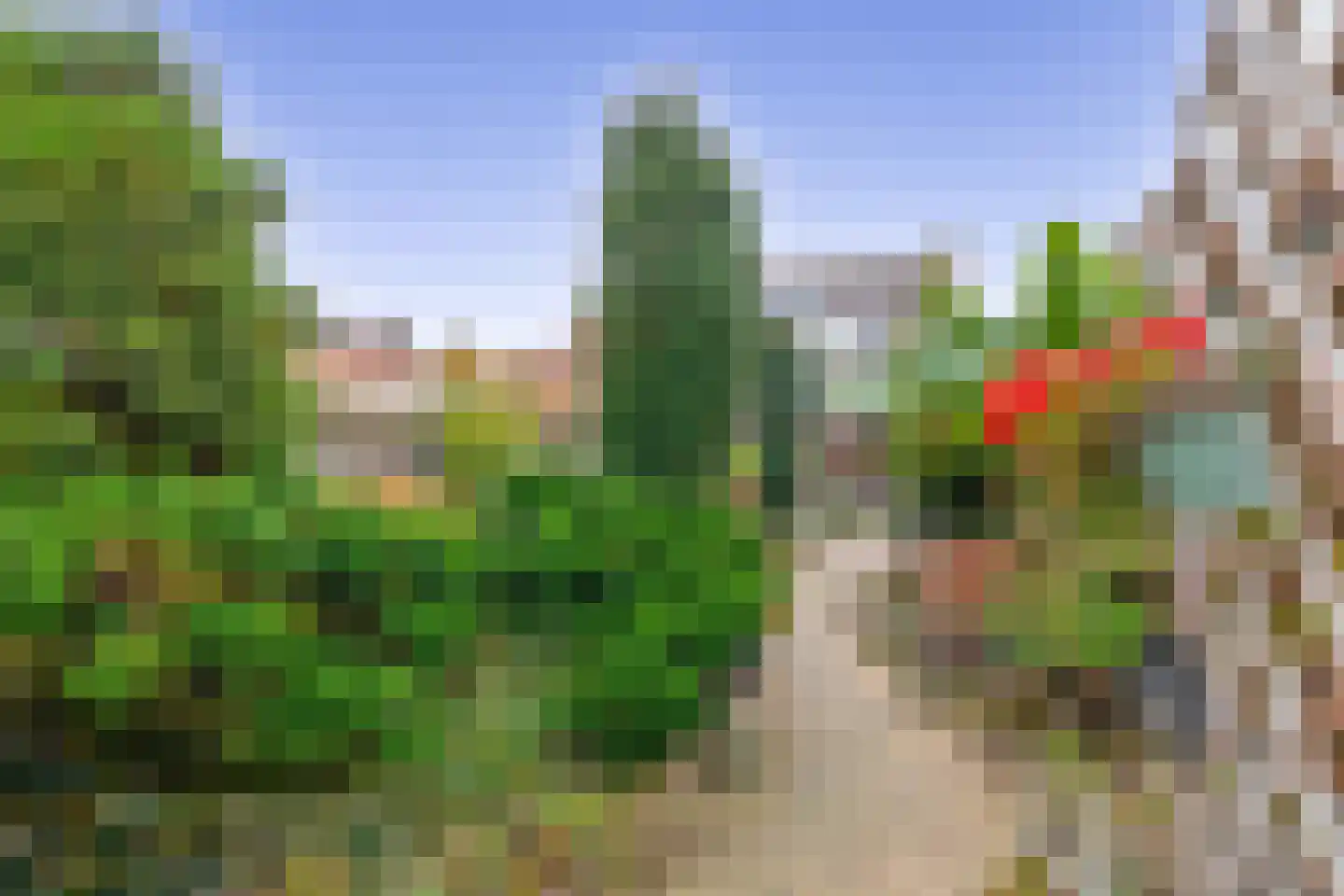 Nieuwstraat 29 Lieshout thumbnail 52