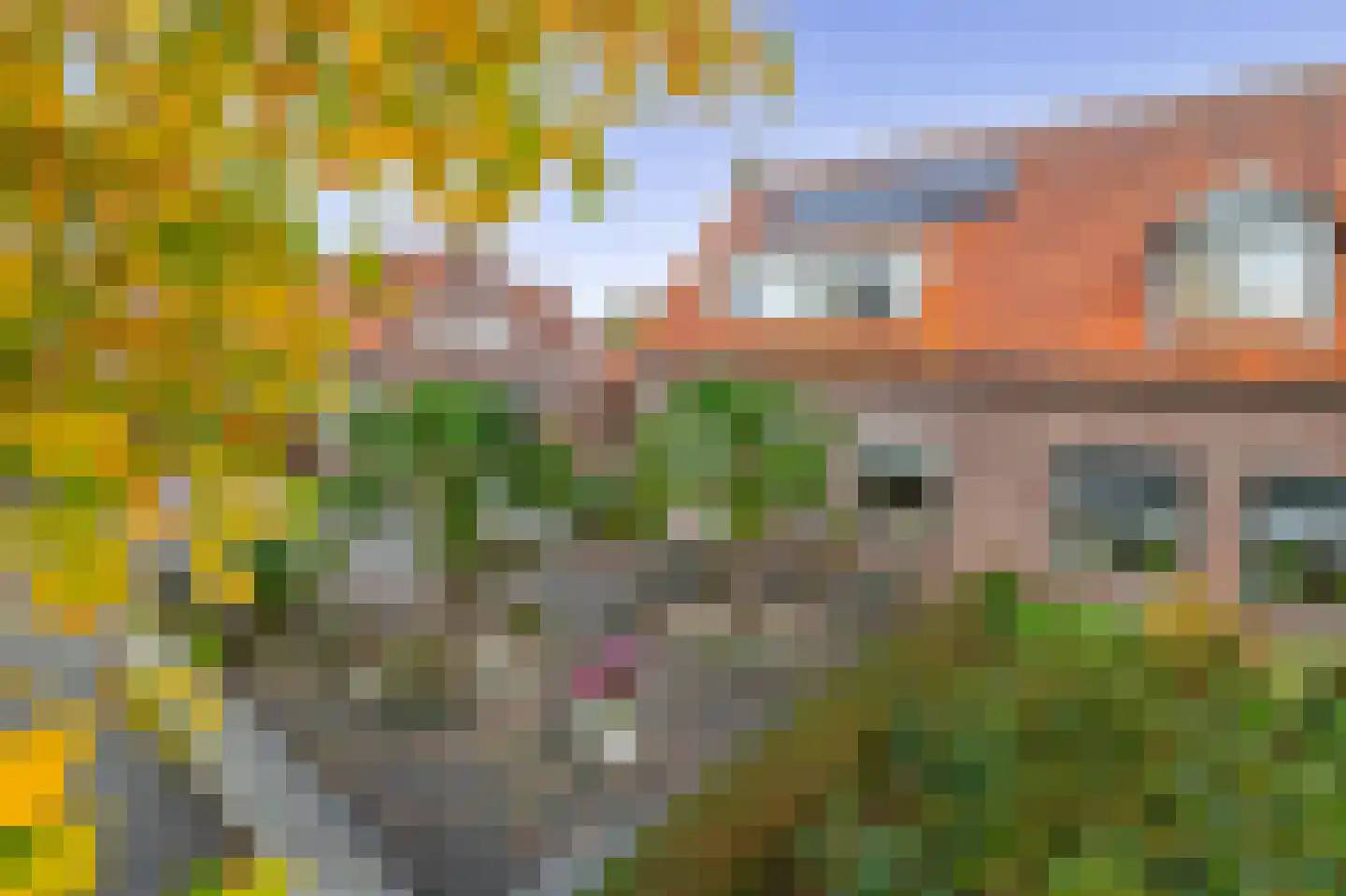 Nieuwstraat 29 Lieshout thumbnail 7