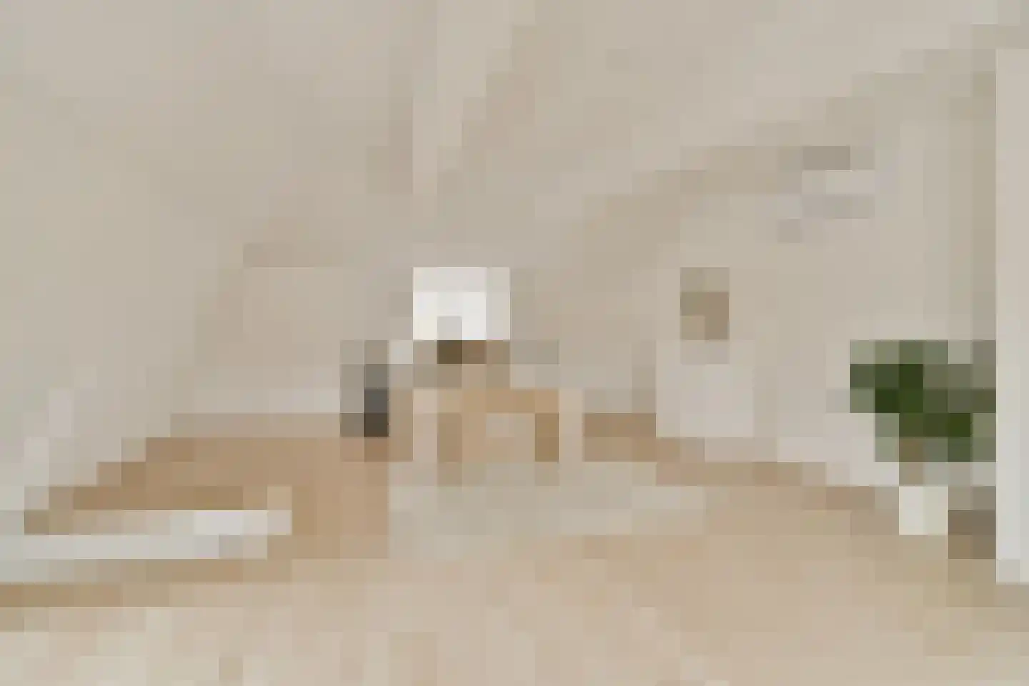 Nieuwstraat 29 Purmerend thumbnail 23