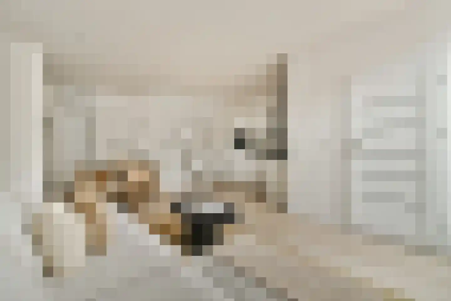 Nieuwstraat 29 Purmerend thumbnail 6