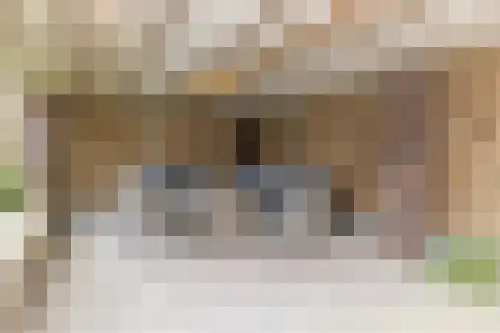 Nieuwstraat 29 Schimmert thumbnail 30
