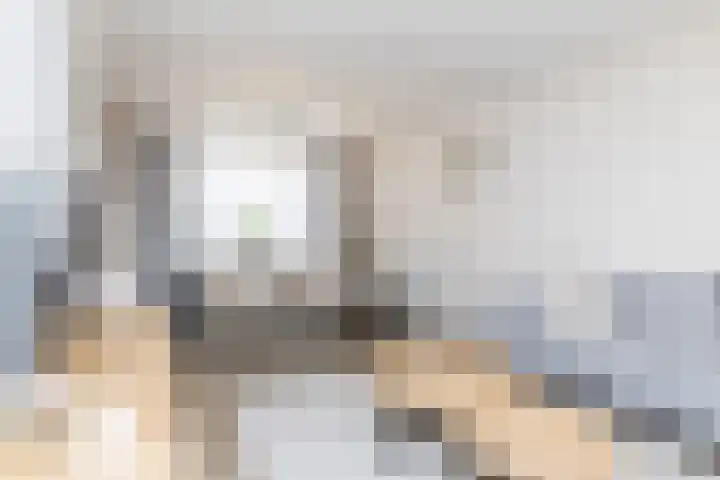 Nieuwstraat 29 Schimmert thumbnail 9