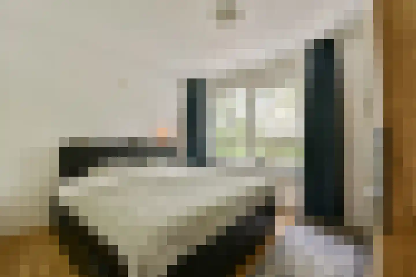 Nieuwstraat 294 Rotterdam thumbnail 19