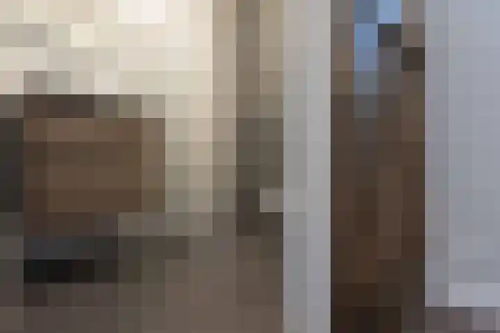 Nieuwstraat 3 A Deventer thumbnail 8