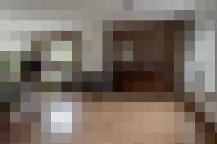 Nieuwstraat 3 Daarlerveen thumbnail 15
