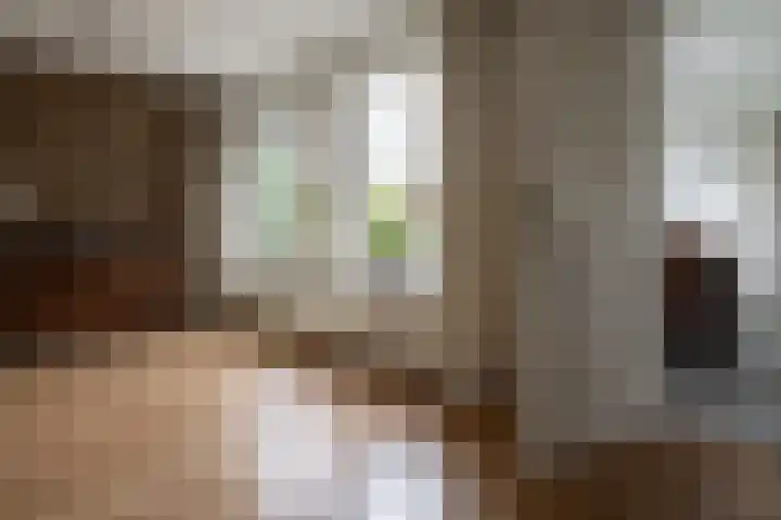 Nieuwstraat 3 Daarlerveen thumbnail 16