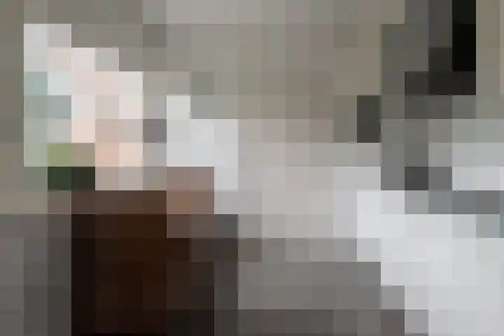 Nieuwstraat 3 Daarlerveen thumbnail 17