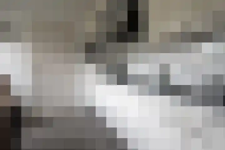 Nieuwstraat 3 Daarlerveen thumbnail 19