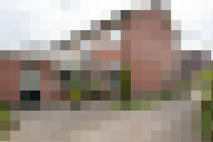 Nieuwstraat 3 Daarlerveen thumbnail 36