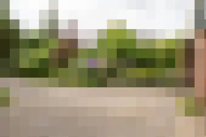 Nieuwstraat 3 Daarlerveen thumbnail 37