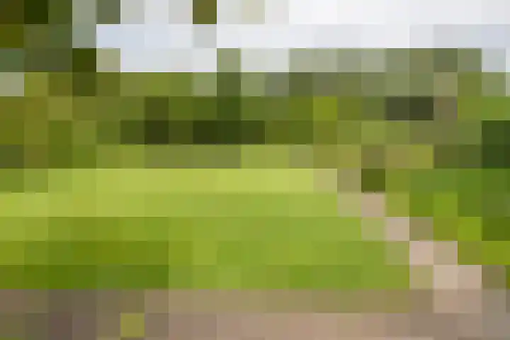 Nieuwstraat 3 Daarlerveen thumbnail 43