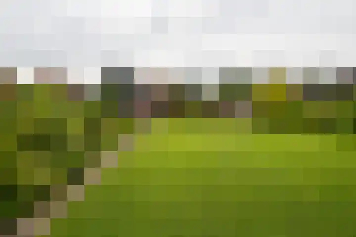 Nieuwstraat 3 Daarlerveen thumbnail 44