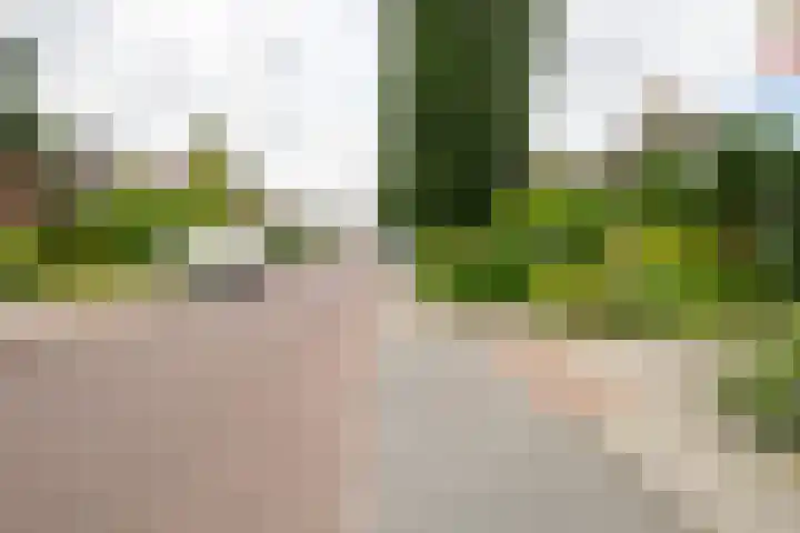 Nieuwstraat 3 Daarlerveen thumbnail 46