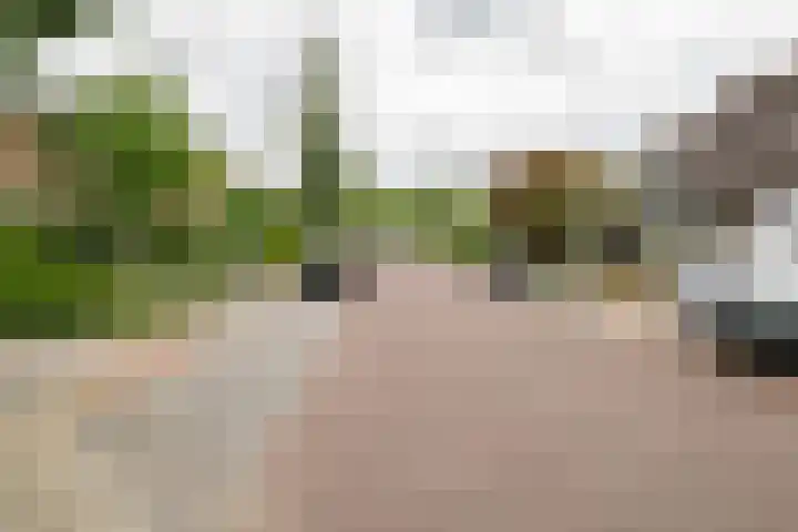 Nieuwstraat 3 Daarlerveen thumbnail 47