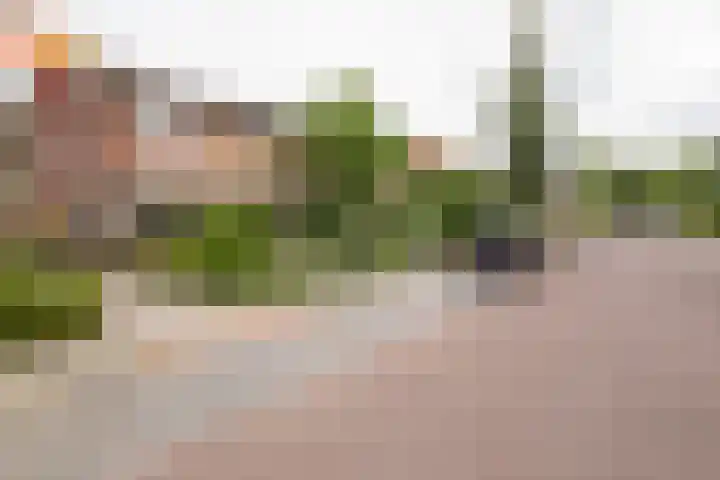 Nieuwstraat 3 Daarlerveen thumbnail 48