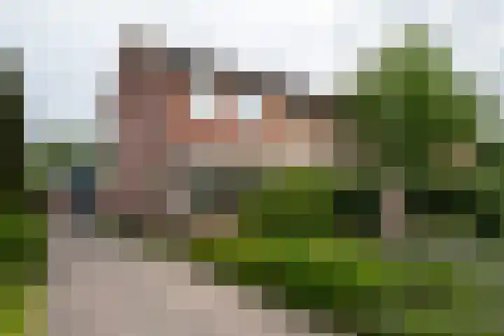 Nieuwstraat 3 Daarlerveen thumbnail 49