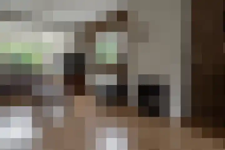 Nieuwstraat 3 Daarlerveen thumbnail 9