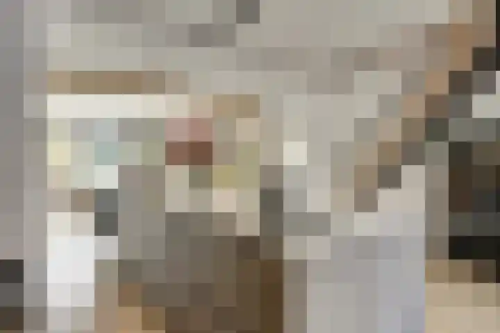 Nieuwstraat 3 Enkhuizen thumbnail 10