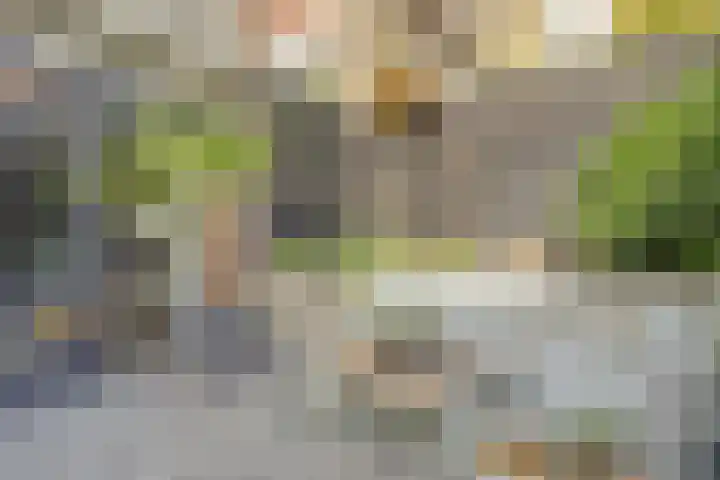 Nieuwstraat 3 Enkhuizen thumbnail 16