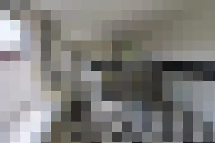 Nieuwstraat 3 Hasselt thumbnail 10