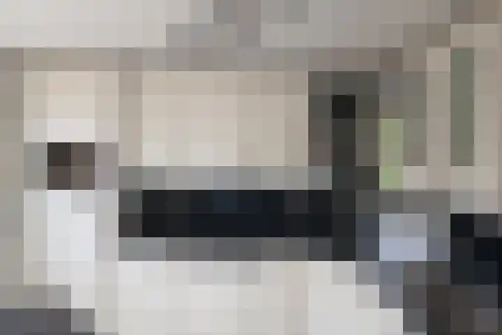Nieuwstraat 3 Hasselt thumbnail 12