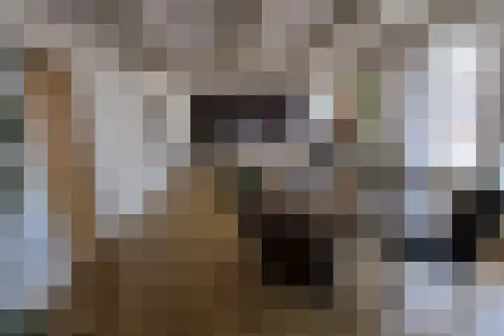 Nieuwstraat 3 Hasselt thumbnail 22