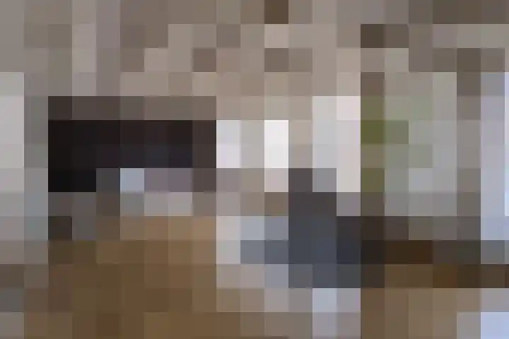 Nieuwstraat 3 Hasselt thumbnail 23