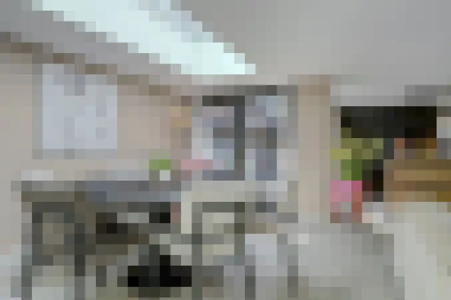 Nieuwstraat 3 Noord-Scharwoude thumbnail 14