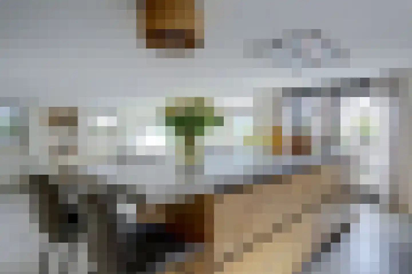 Nieuwstraat 3 Noord-Scharwoude thumbnail 22