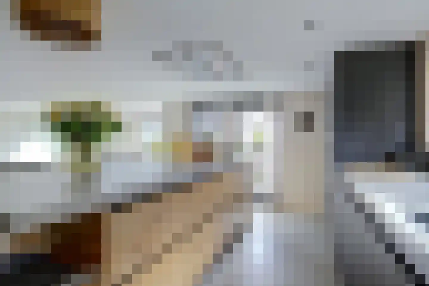 Nieuwstraat 3 Noord-Scharwoude thumbnail 23