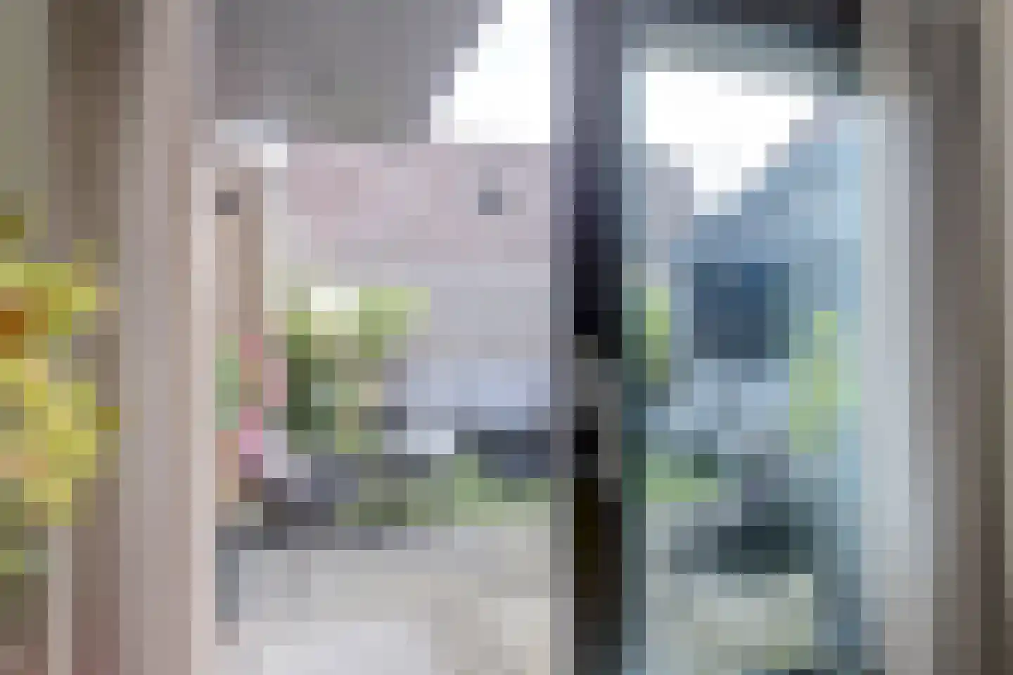 Nieuwstraat 3 Noord-Scharwoude thumbnail 26