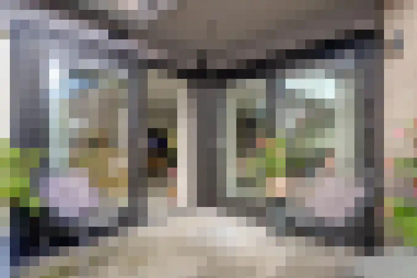 Nieuwstraat 3 Noord-Scharwoude thumbnail 27