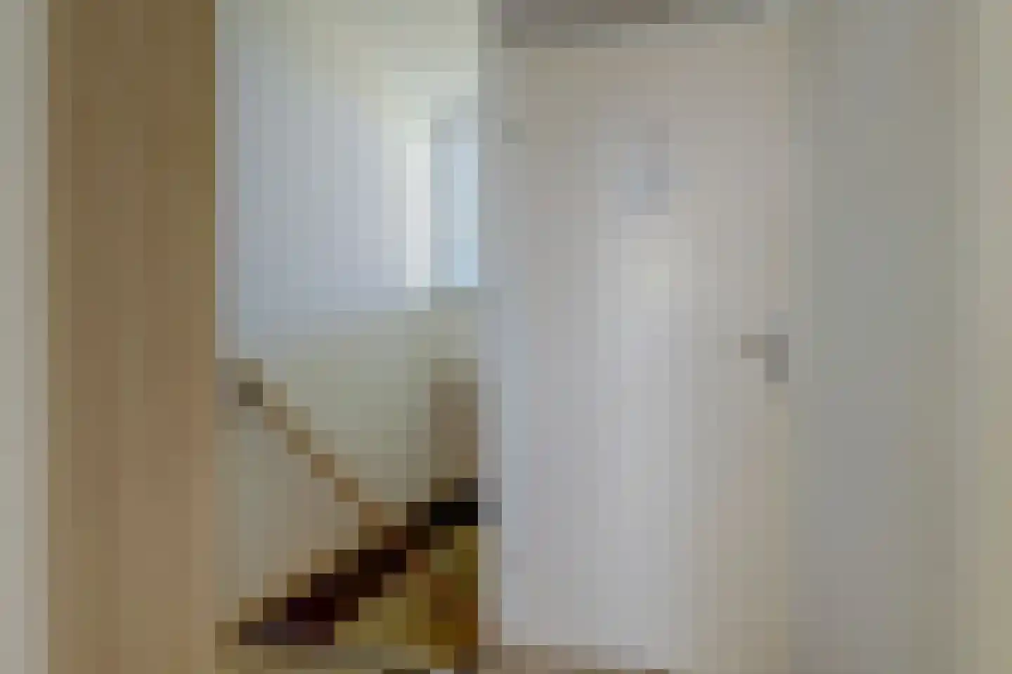 Nieuwstraat 3 Noord-Scharwoude thumbnail 36