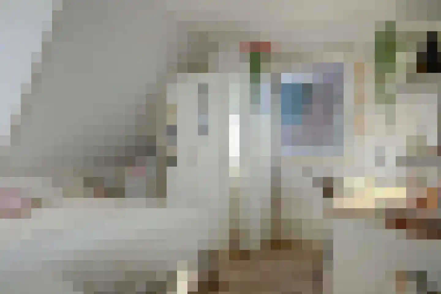 Nieuwstraat 3 Noord-Scharwoude thumbnail 41