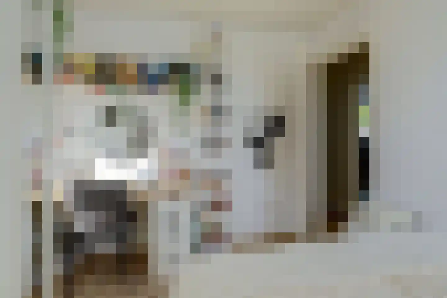 Nieuwstraat 3 Noord-Scharwoude thumbnail 42