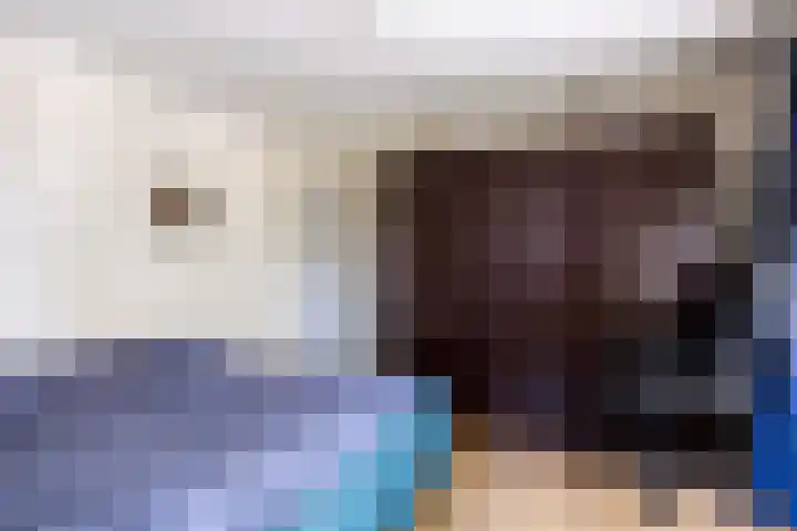 Nieuwstraat 3 Rosmalen thumbnail 22